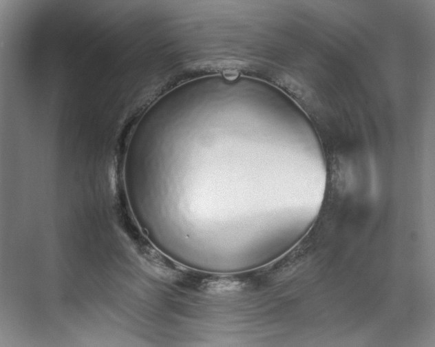 X0000070380206200606161352