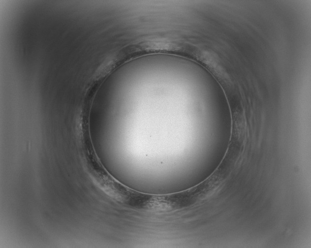 X0000070380207200606161352