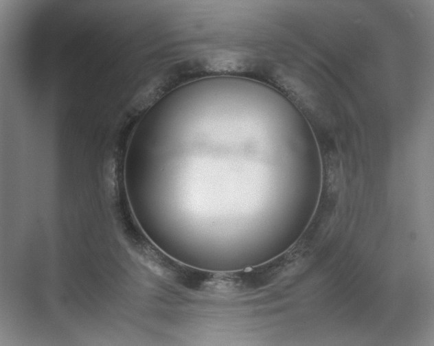 X0000070380211200606161352