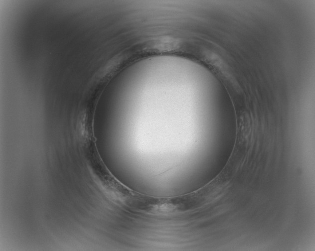 X0000070380212200606161352