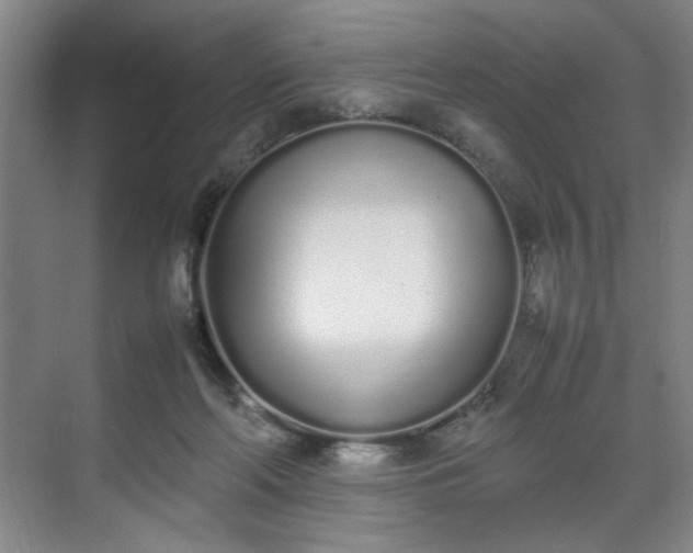 X0000070380214200606161352