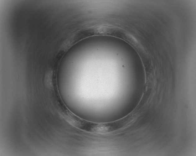 X0000070380217200606161352