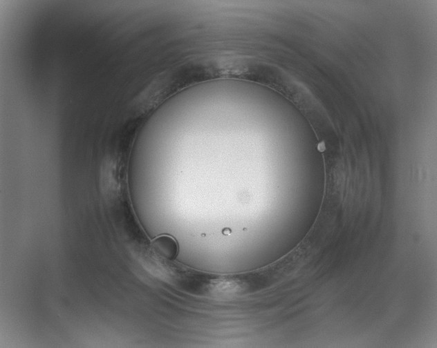 X0000070380218200606161352