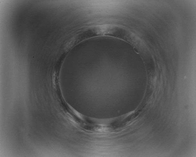 X0000070380219200606161352