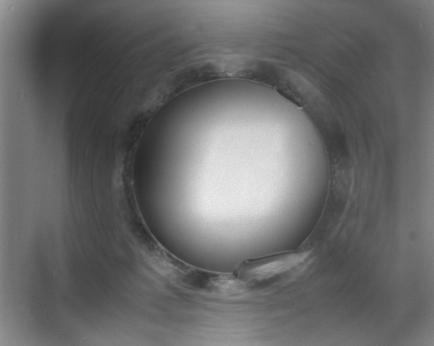 X0000070380221200606161352