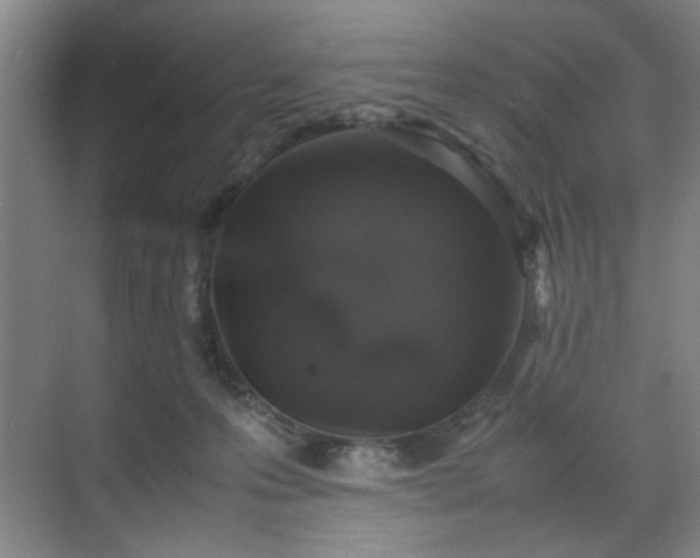 X0000070380223200606161352