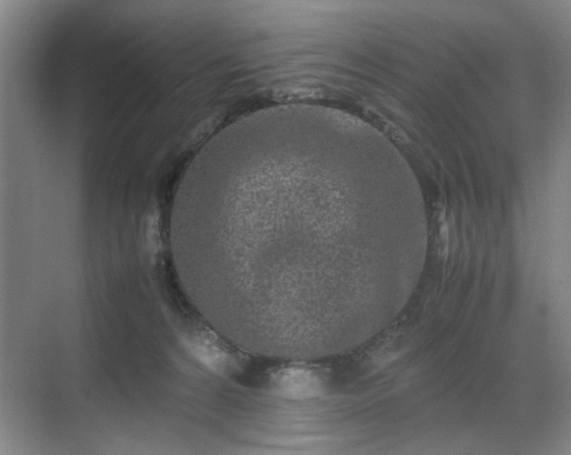 X0000070380224200606161352