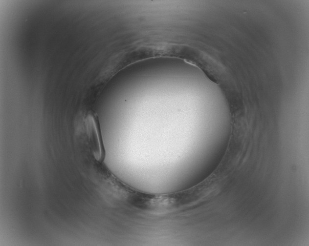 X0000070380225200606161352