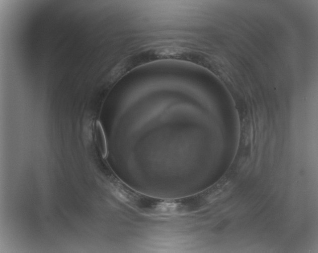 X0000070380227200606161352