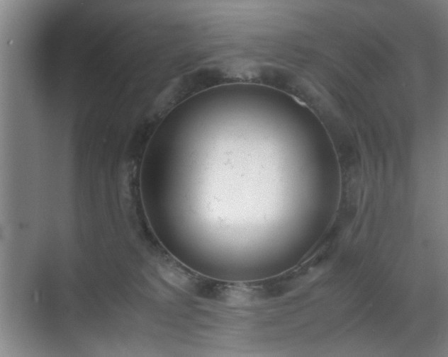 X0000070380229200606161352