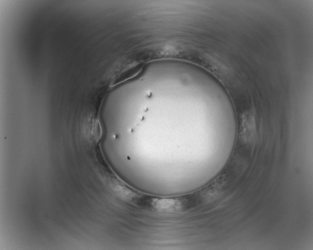 X0000070380230200606161352