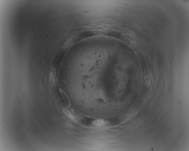 X0000070380231200606161352