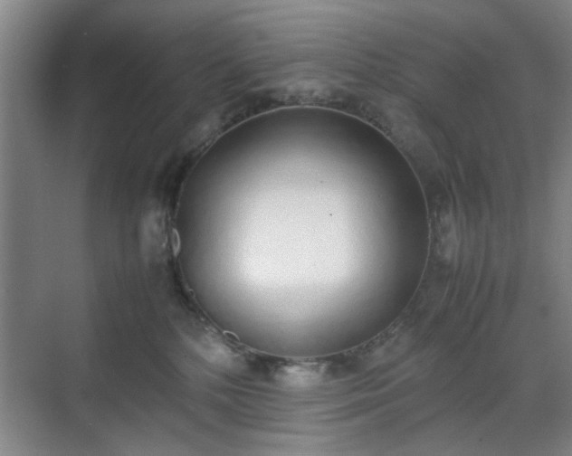 X0000070380232200606161352