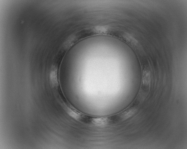 X0000070380238200606161352