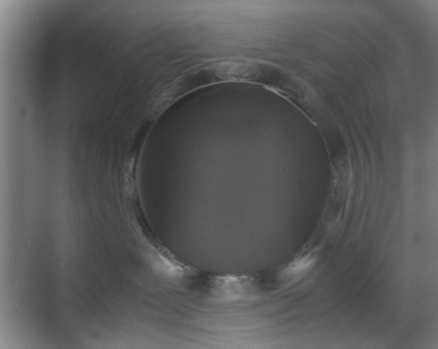 X0000070380239200606161352