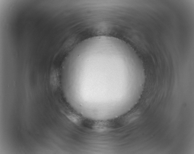 X0000070380240200606161352