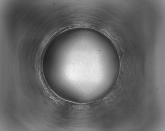 X0000070380241200606161351