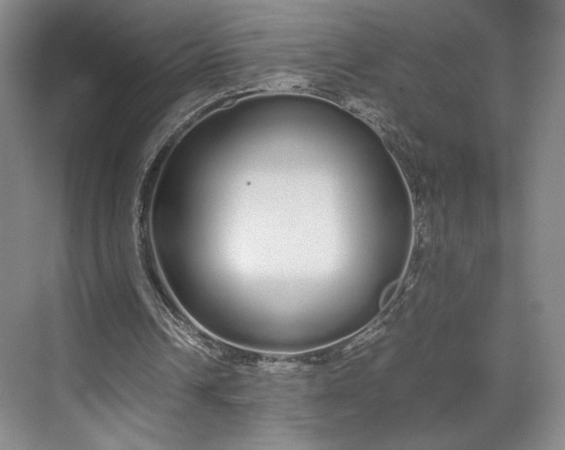 X0000070380242200606161351