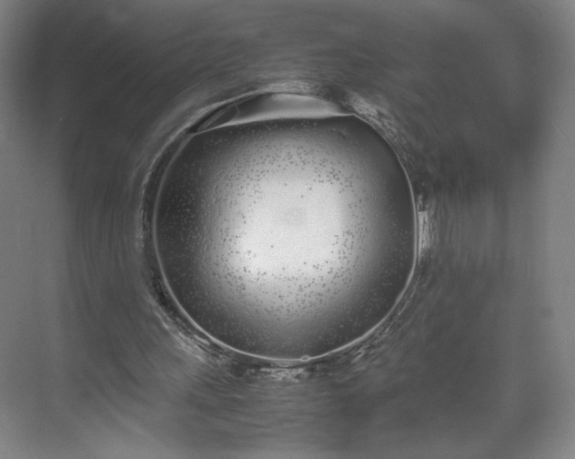 X0000070380243200606161351