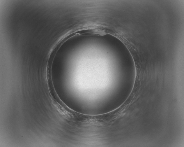 X0000070380244200606161351