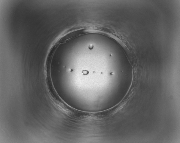 X0000070380246200606161351