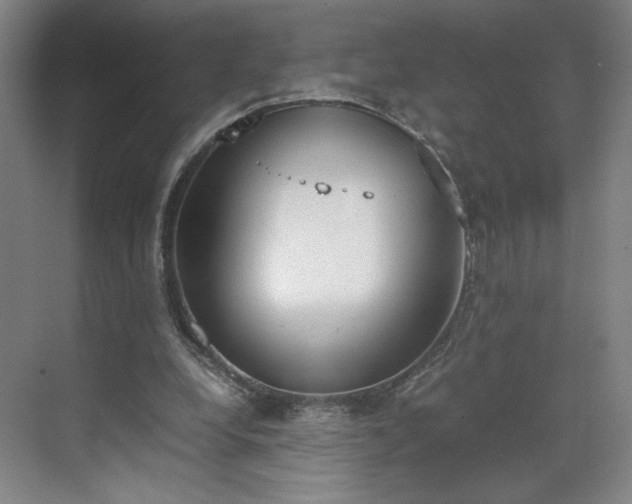 X0000070380248200606161351