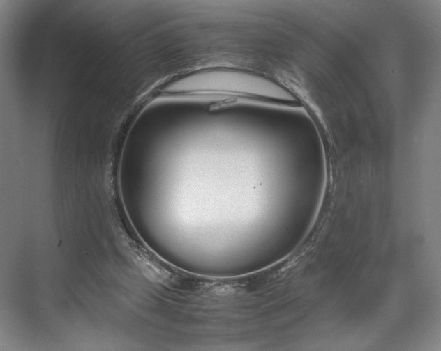 X0000070380249200606161351