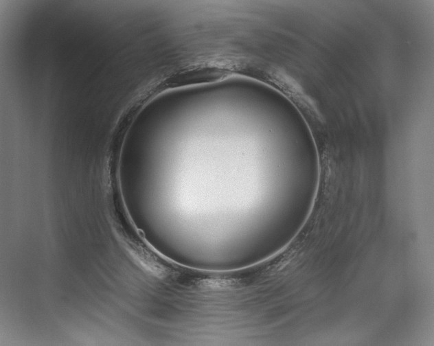 X0000070380250200606161351