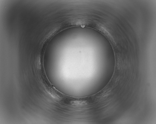 X0000070380251200606161351