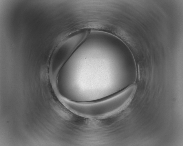 X0000070380252200606161351