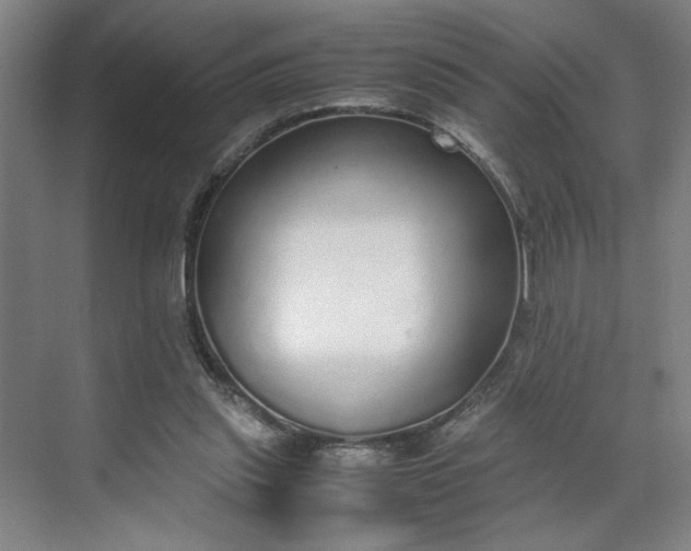 X0000070380253200606161351