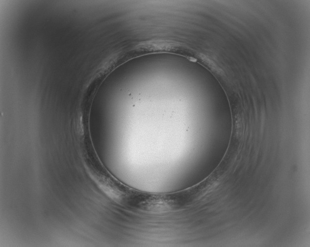 X0000070380254200606161351