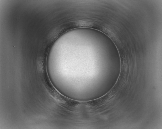 X0000070380255200606161351