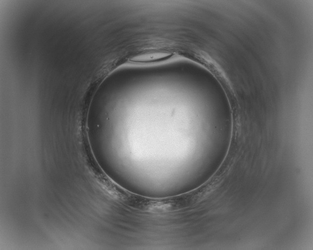 X0000070380257200606161351