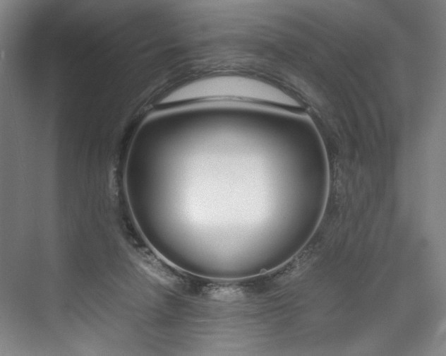 X0000070380258200606161351