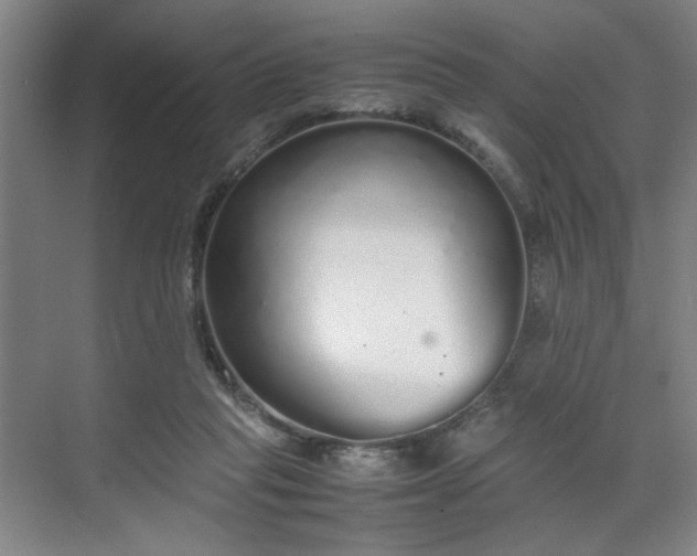 X0000070380261200606161351