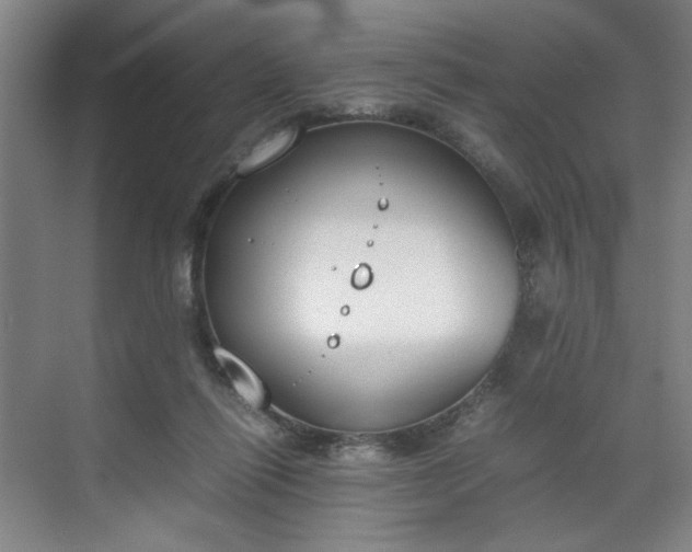 X0000070380262200606161351