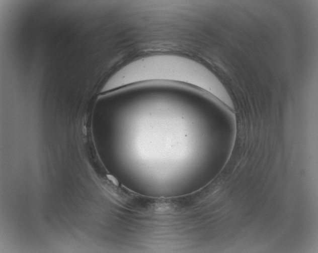 X0000070380264200606161351