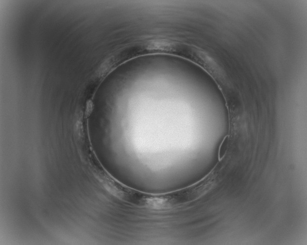 X0000070380265200606161351