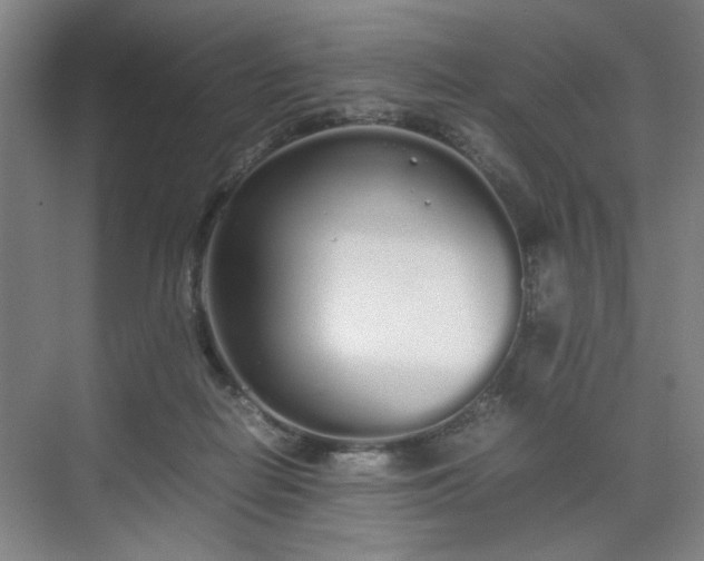 X0000070380266200606161351