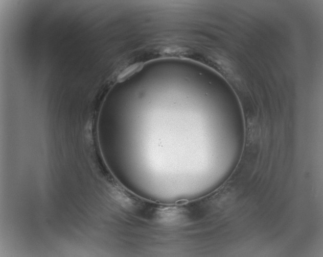 X0000070380269200606161351