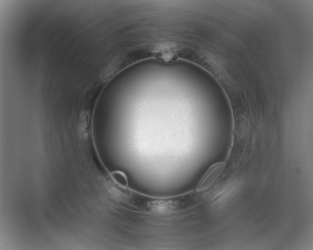 X0000070380273200606161352