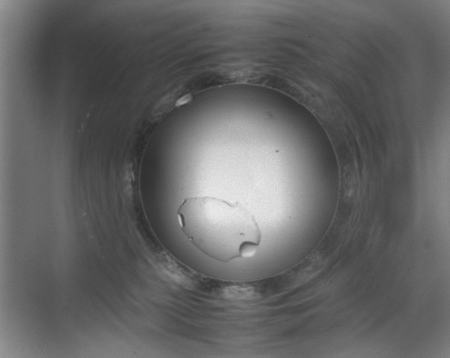 X0000070380279200606161352