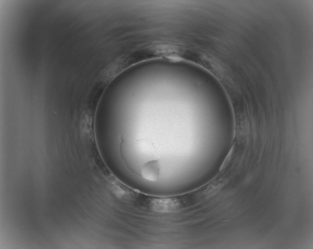 X0000070380281200606161352