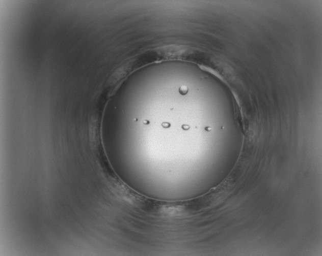 X0000070380283200606161352