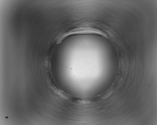 X0000070380284200606161352