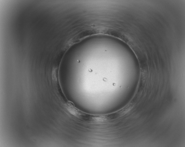 X0000070380286200606161352