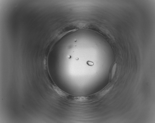 X0000070380288200606161352