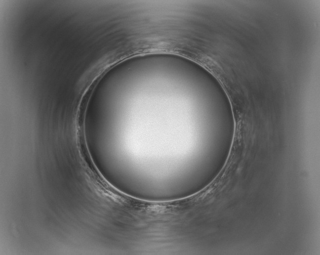 X0000070380290200606161351