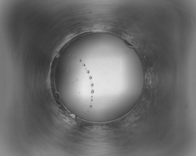 X0000070380292200606161351